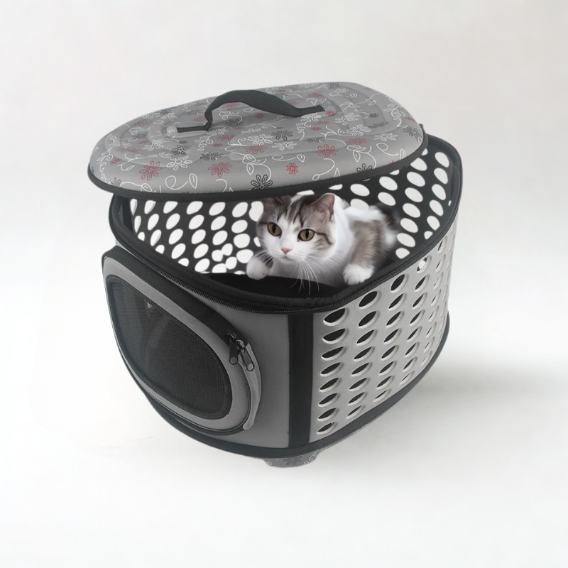 Cage ou Sac de Transport Pour Chat