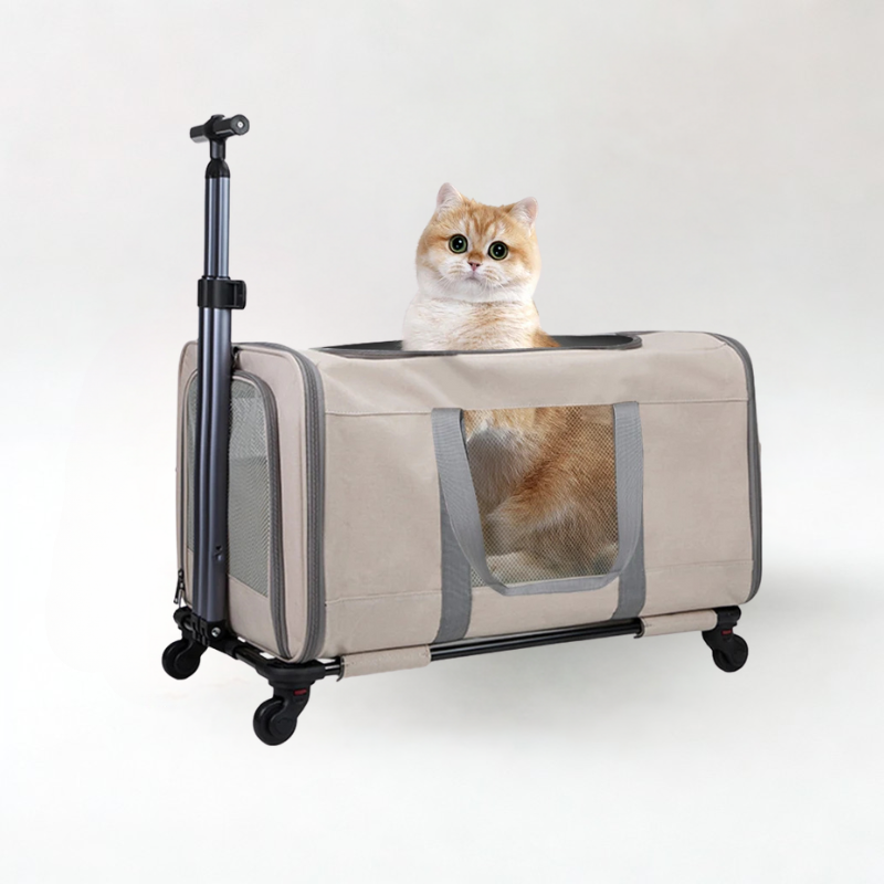Caisseetsacsdetransportpourchats