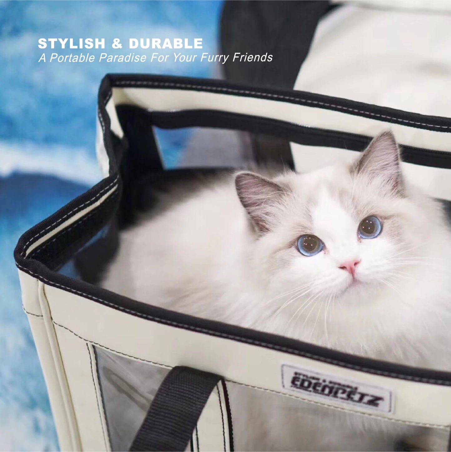 Sac De Transport Avion Pour Chat