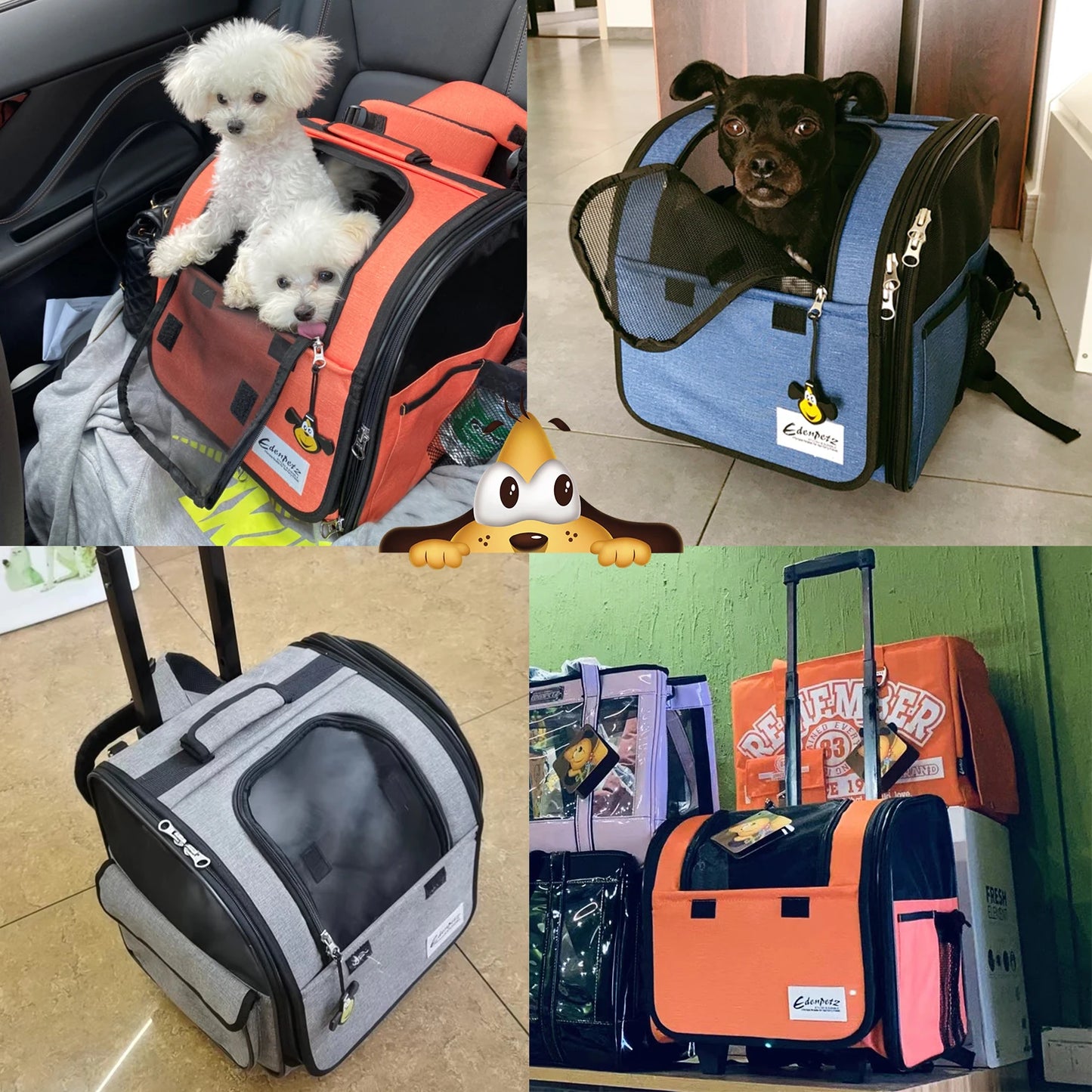 Sac De Transport Pour Chat En Avion