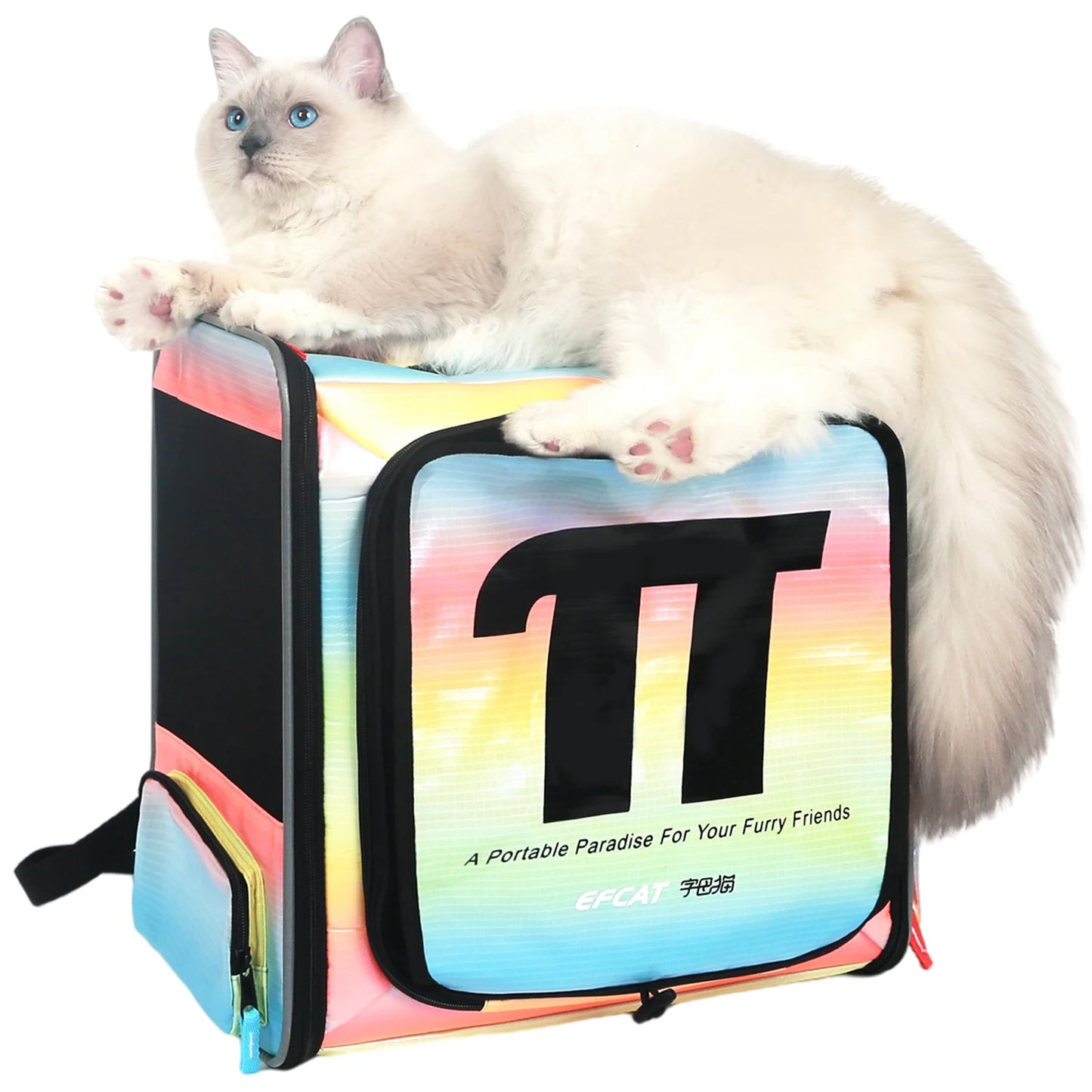Sac De Transport Pour Chat Avion