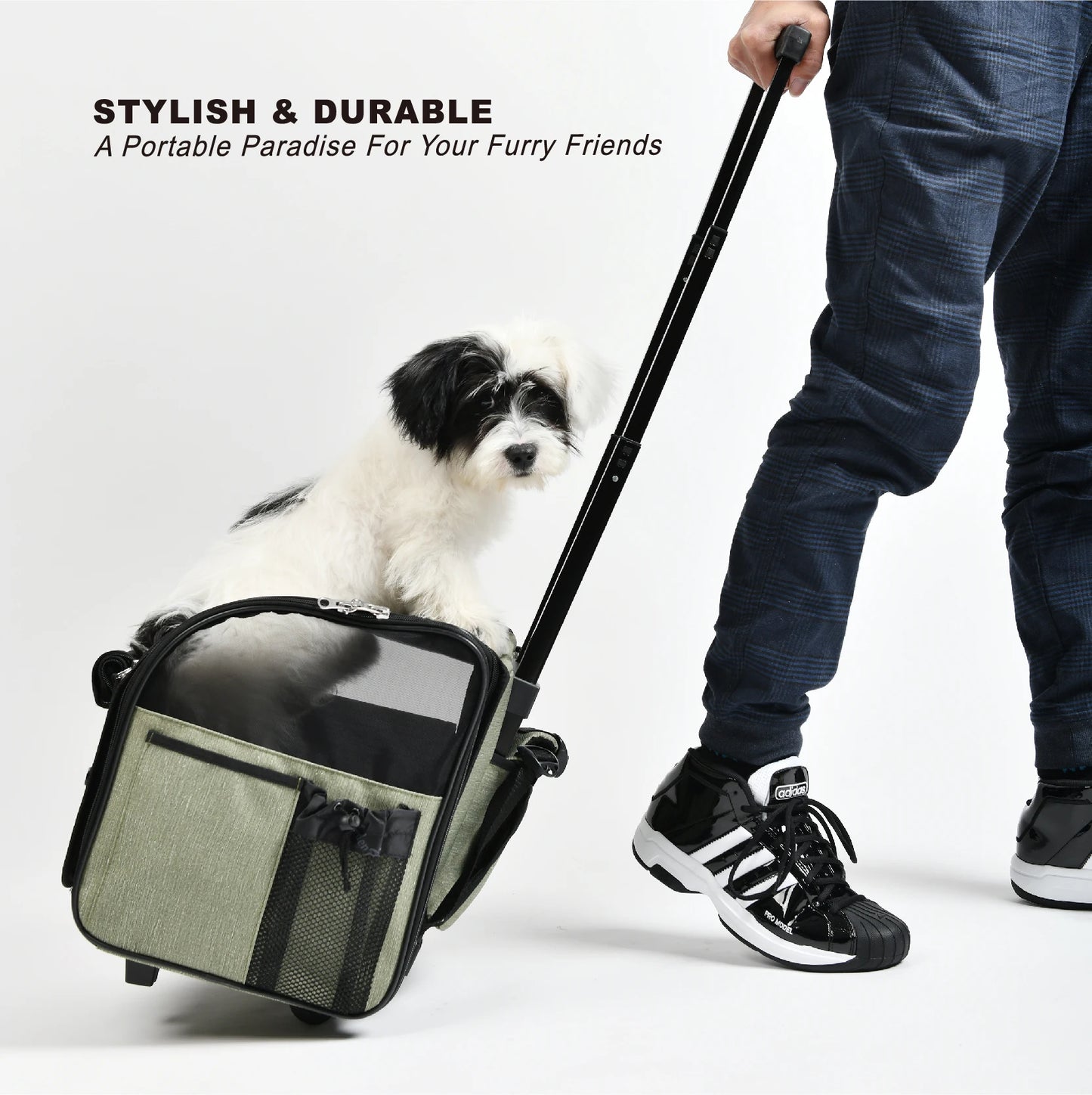 Sac de Transport Pour Chat Avion Cabine