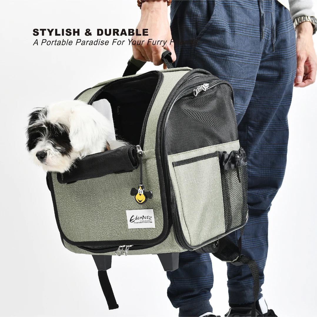 Sac de Transport Pour Chat Avion Cabine