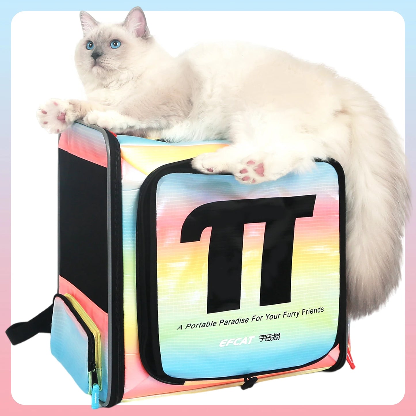 Sac De Transport Pour Chat Avion