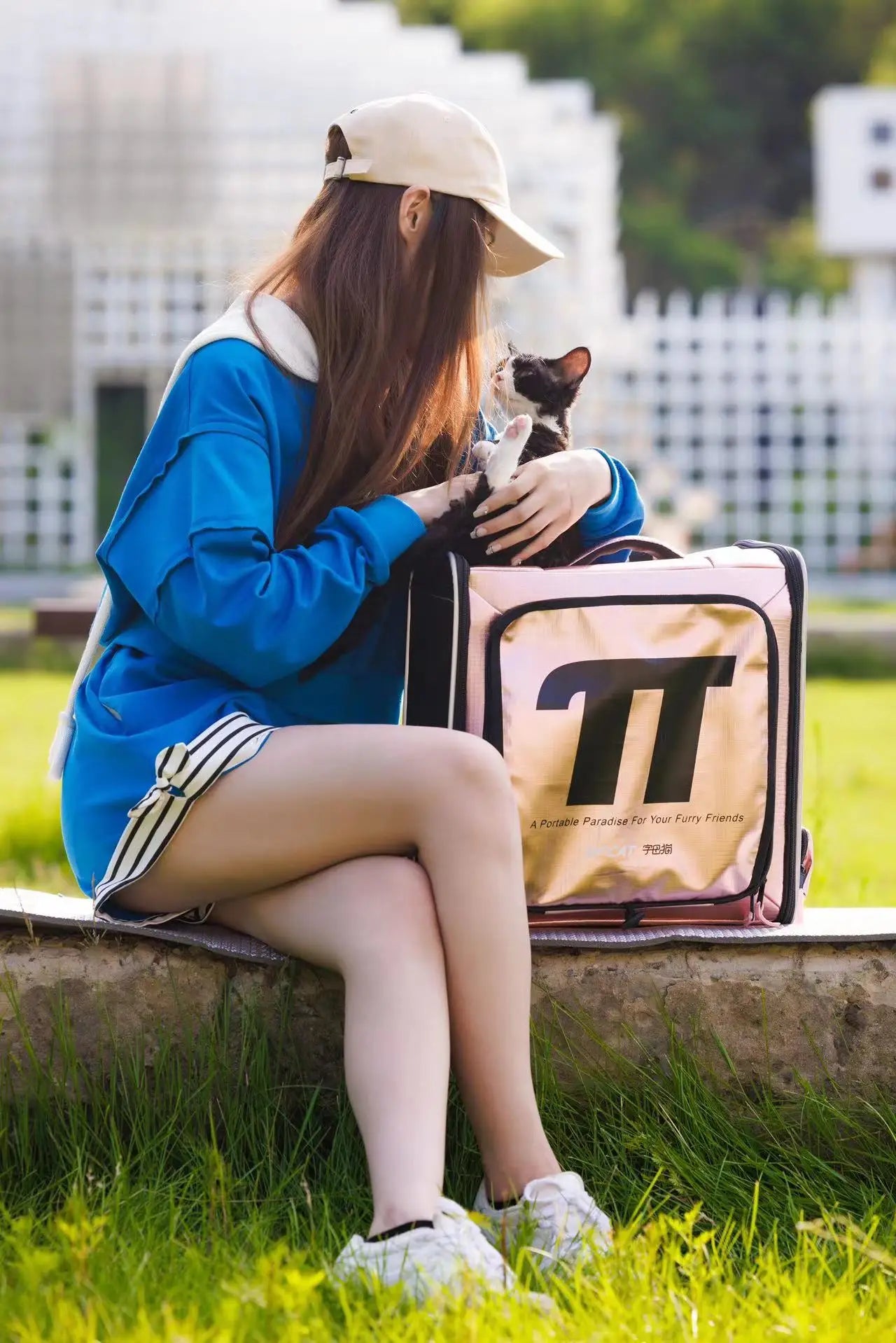 Sac De Transport Pour Chat Avion