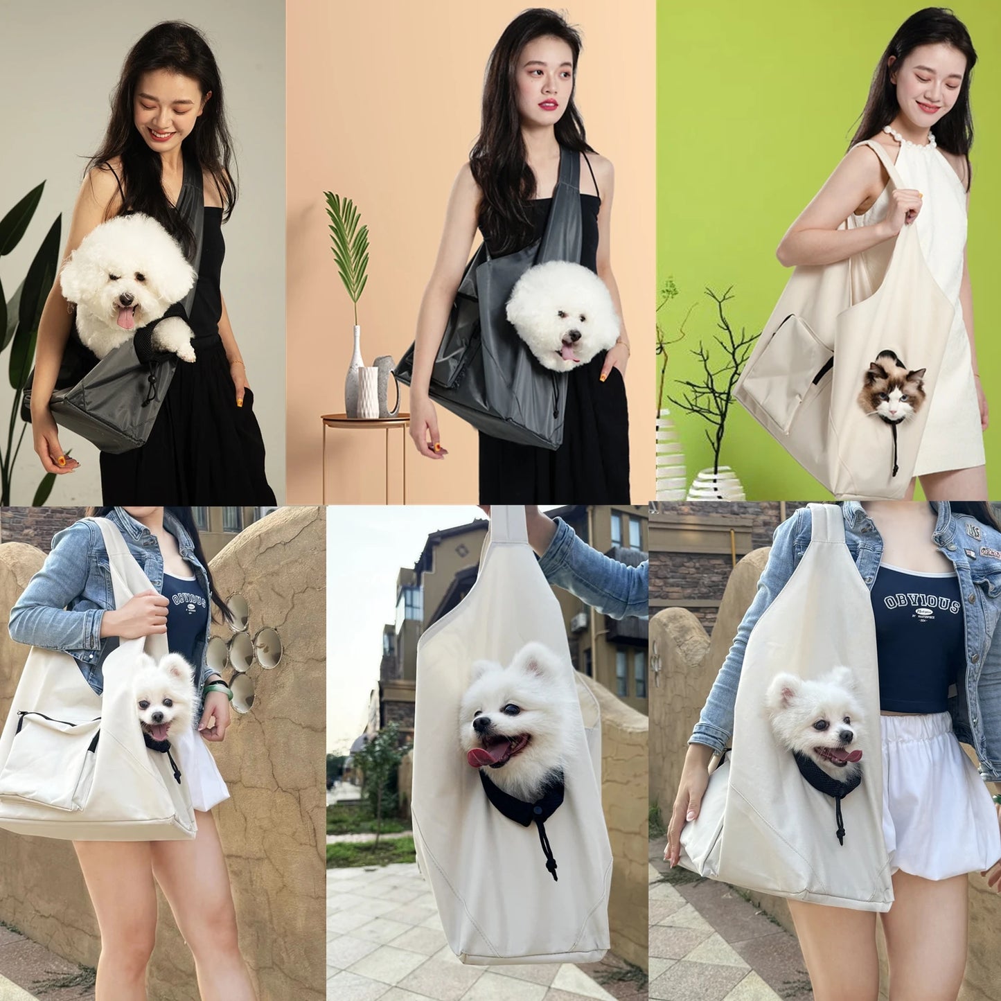 Sacs et paniers de transport pour chats caisse chat