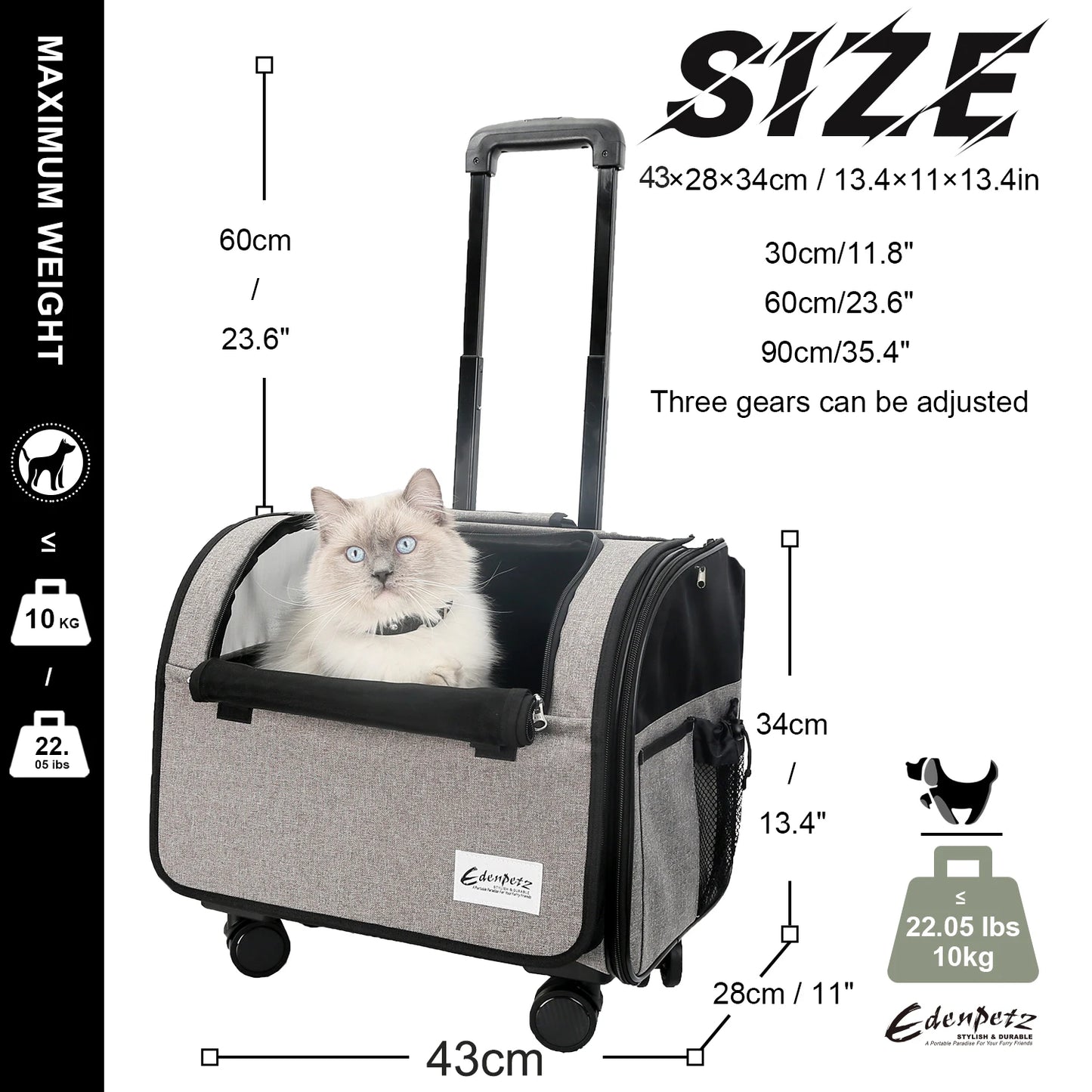 Caisse ou Sac de Transport Pour Chat