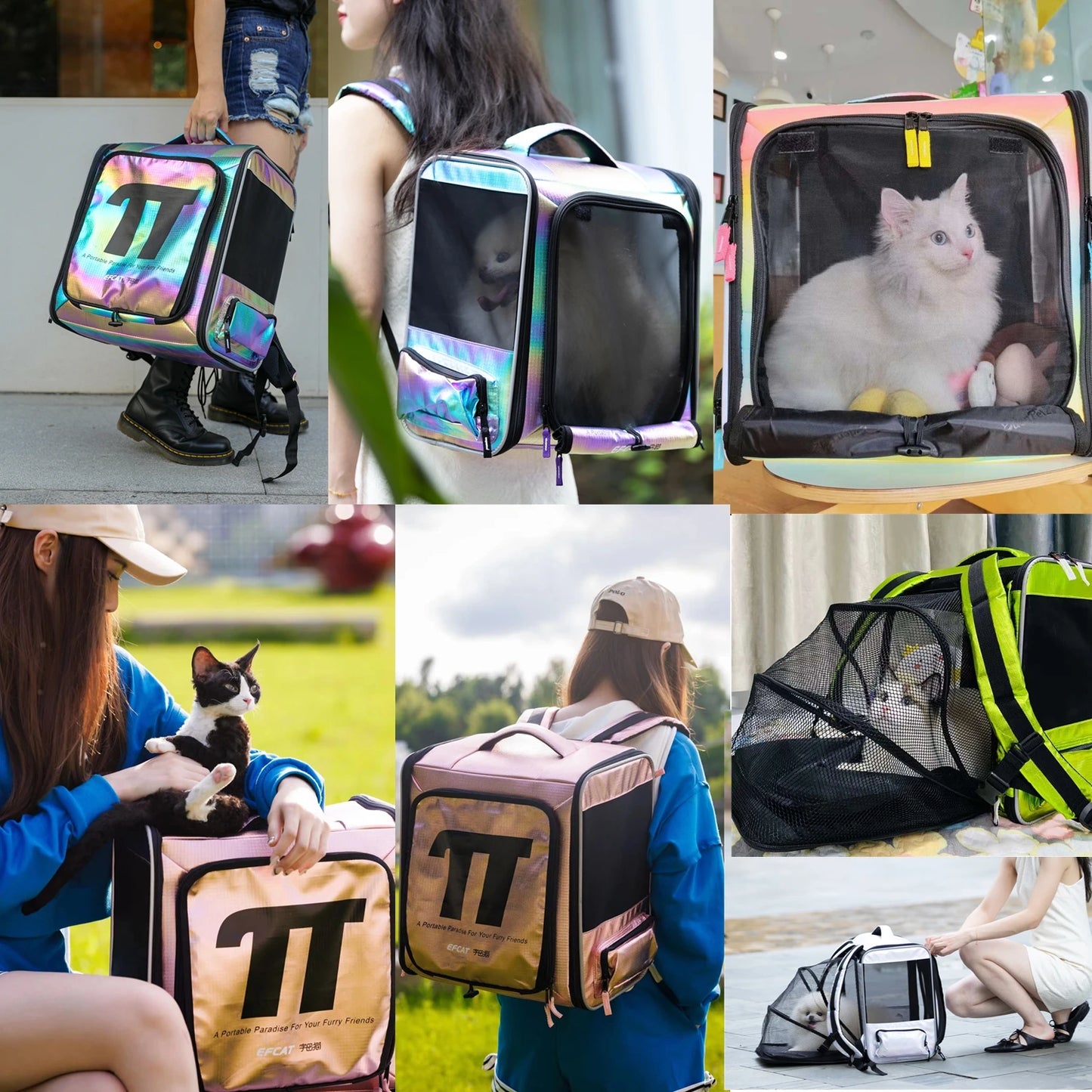 Sac De Transport Pour Chat Avion