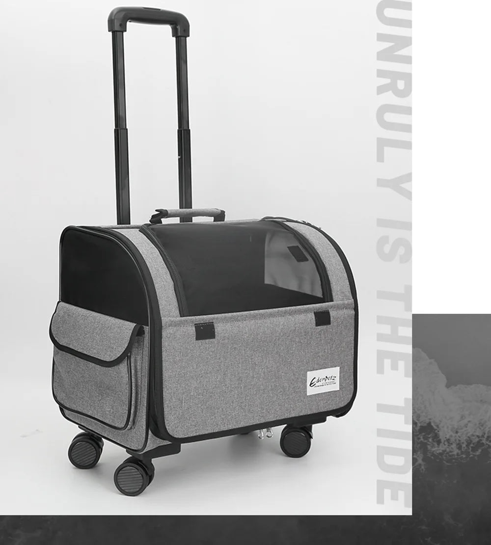 Caisse ou Sac de Transport Pour Chat