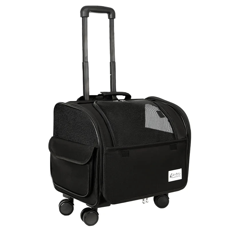 Caisse ou Sac de Transport Pour Chat