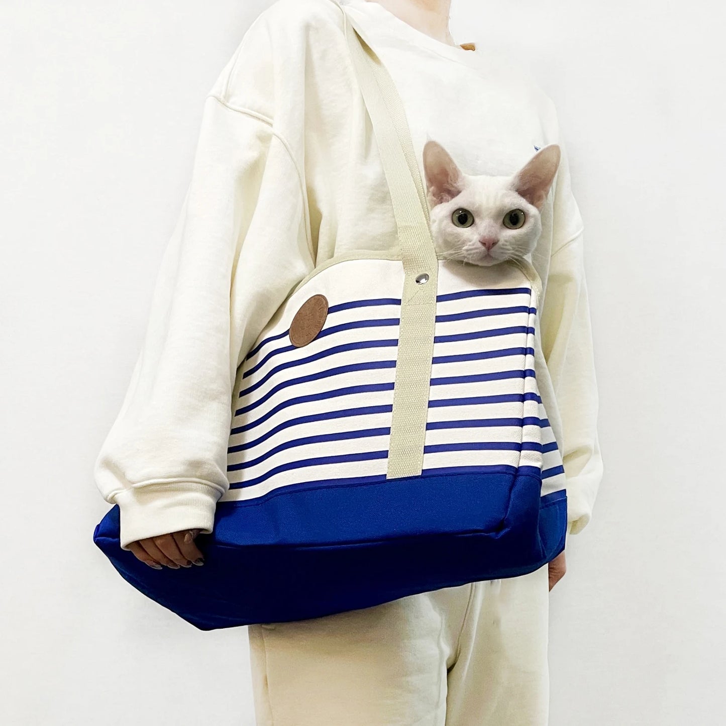 Caisse et sac de transport pour chat