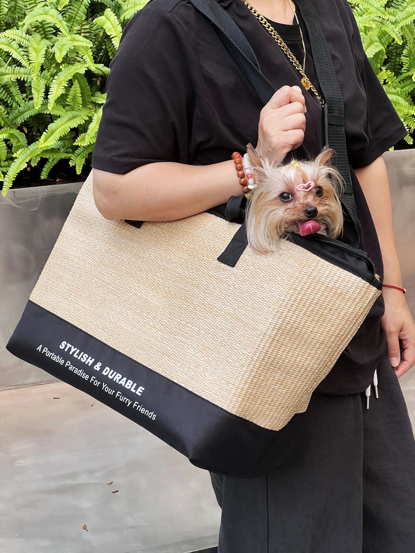 Bon sac de transport pour chat