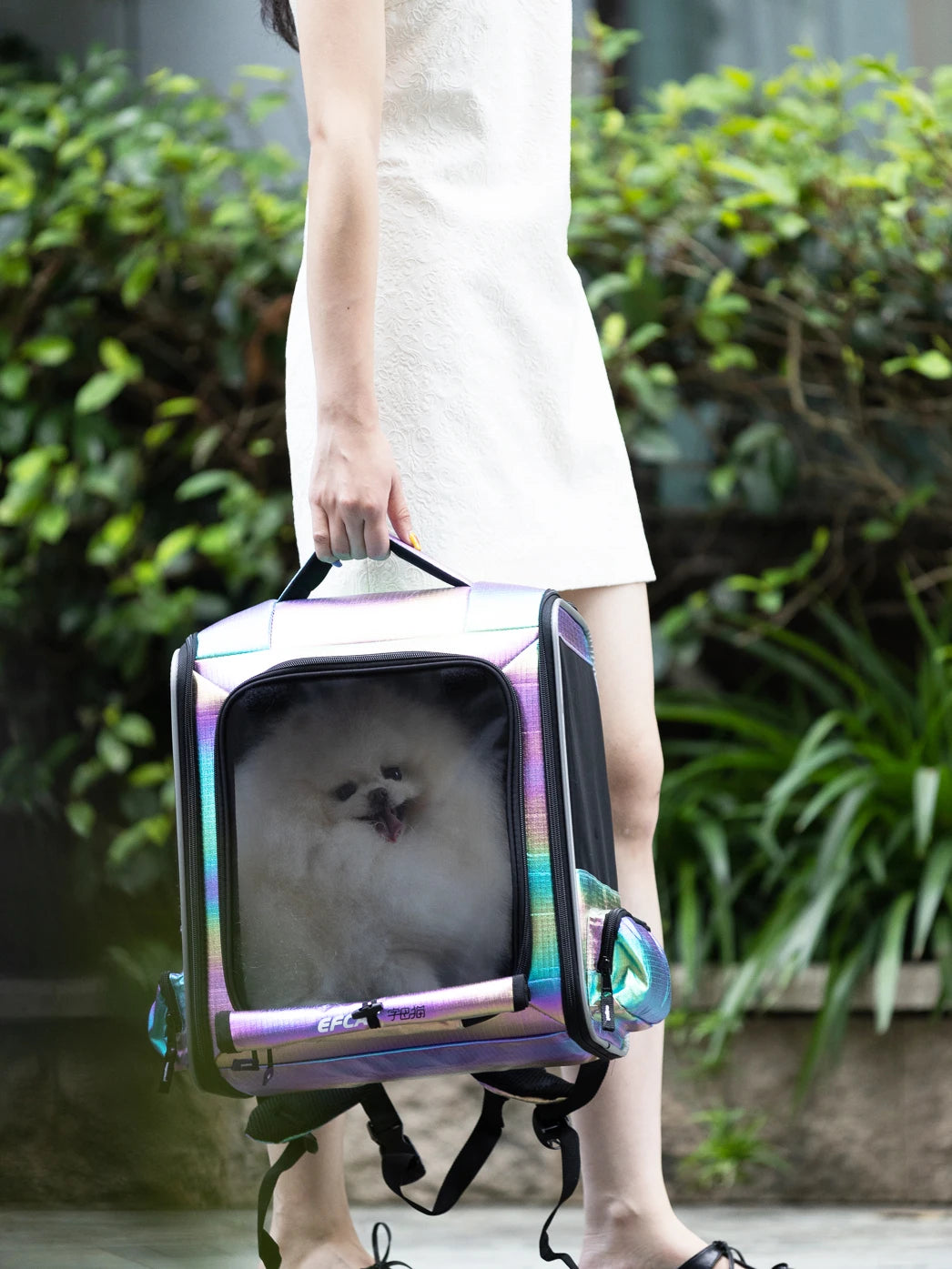 Sac De Transport Pour Chat Avion