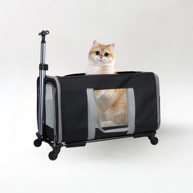 Caisseetsacdetransportpourchats