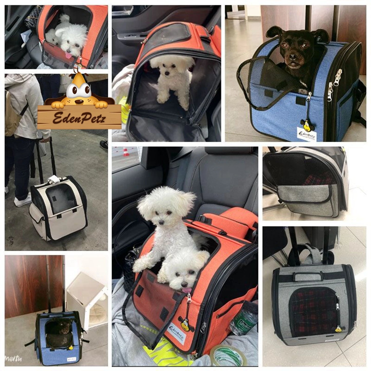 Sac de Transport Pour Chat Avion Cabine