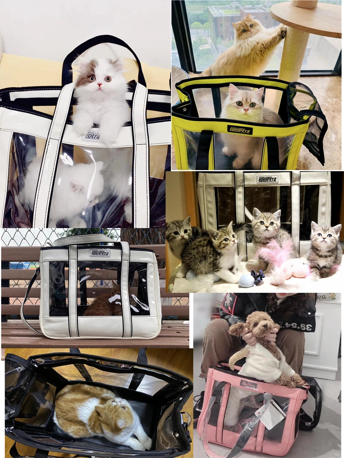 Sac De Transport Avion Pour Chat