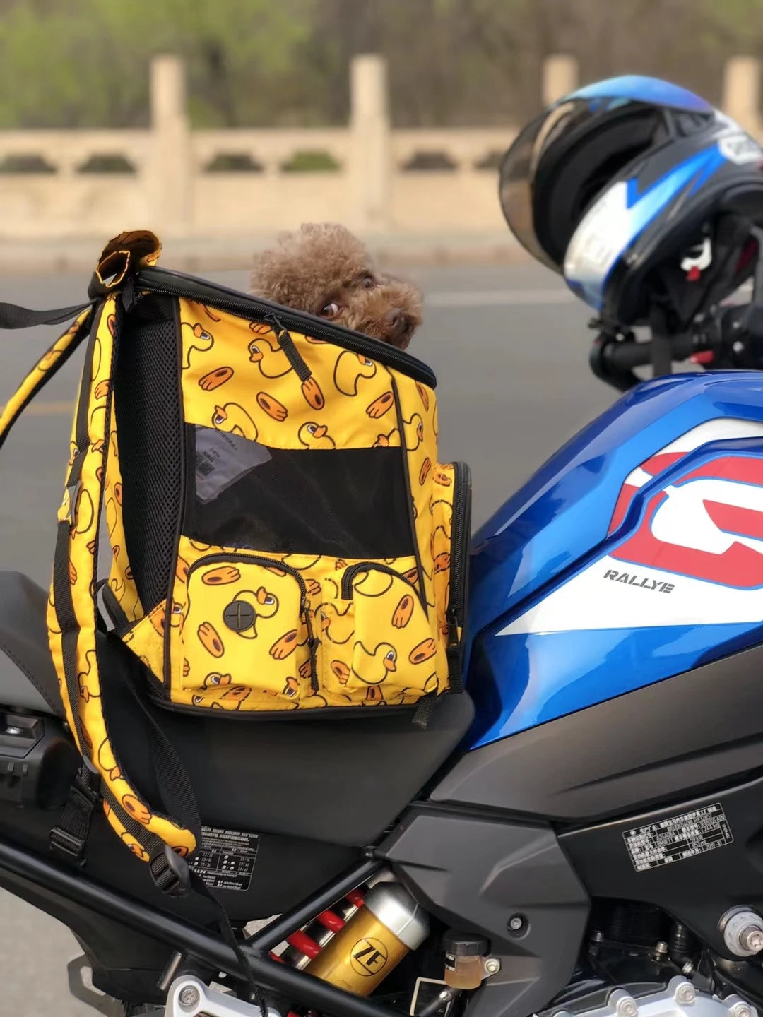 Sac De Transport Avion Pour Chat