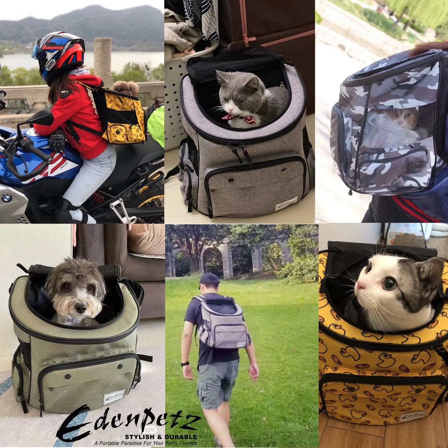 Sac De Transport Avion Pour Chat