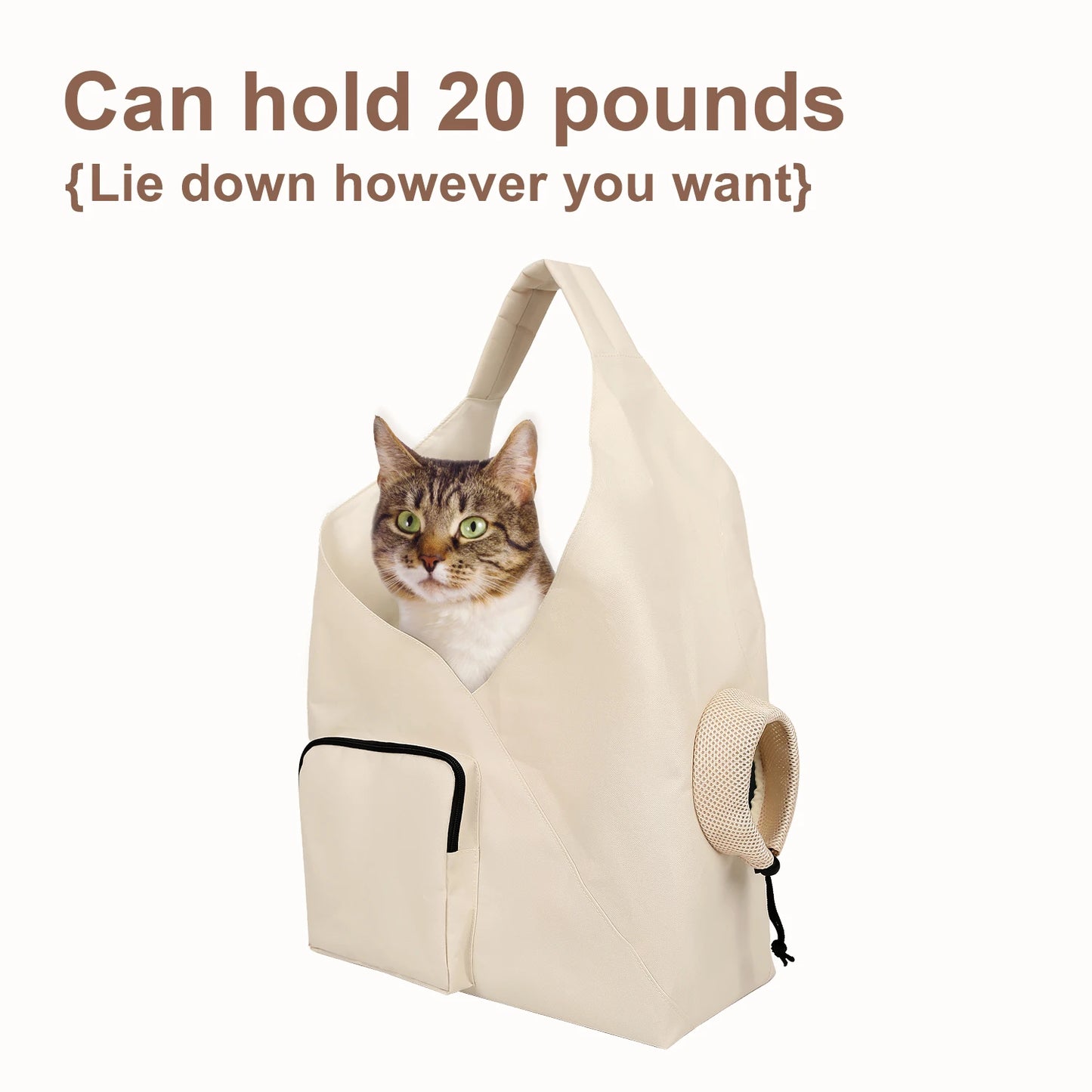 Sacs et paniers de transport pour chats caisse chat