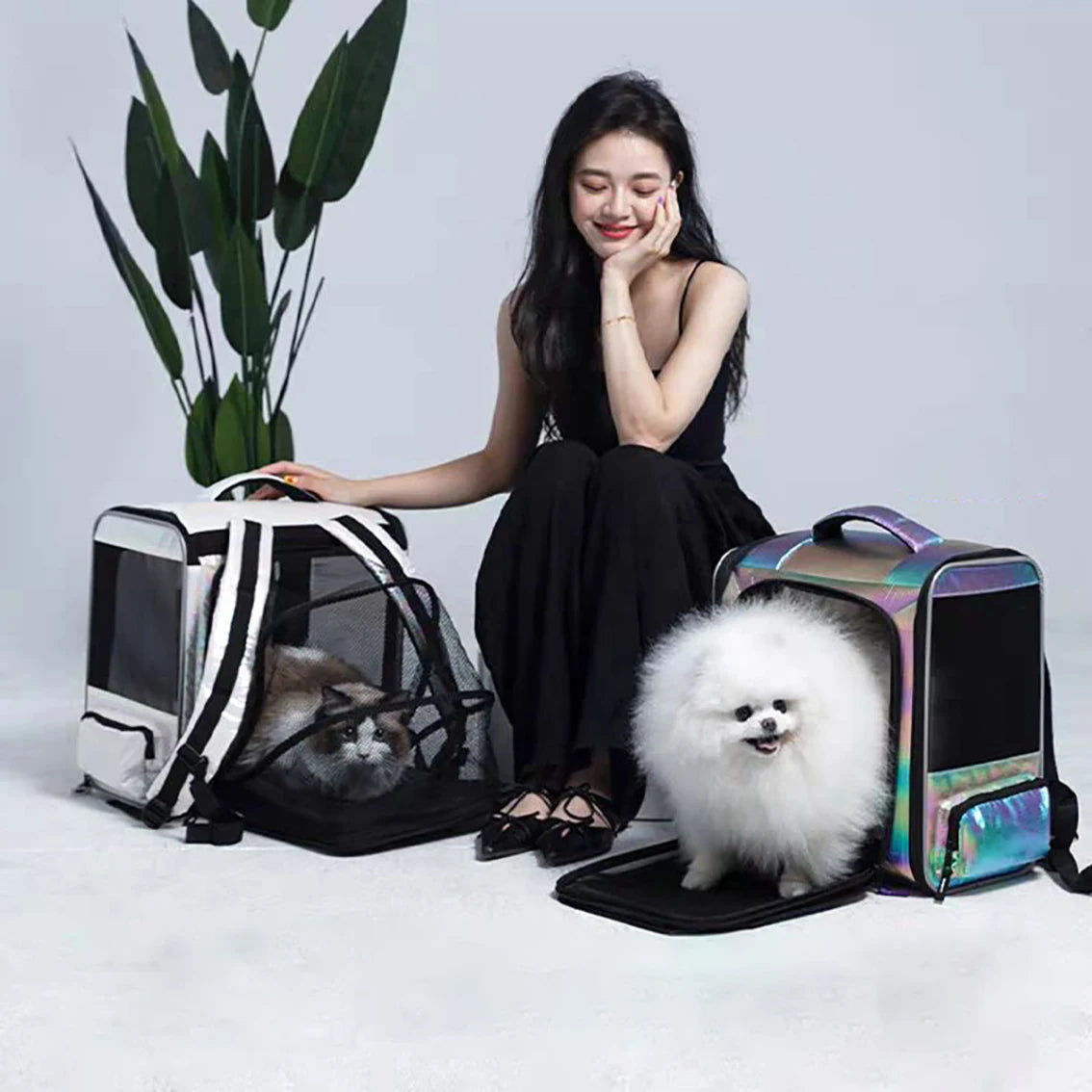 Sacs De Transport Pour Chat Pas Cher