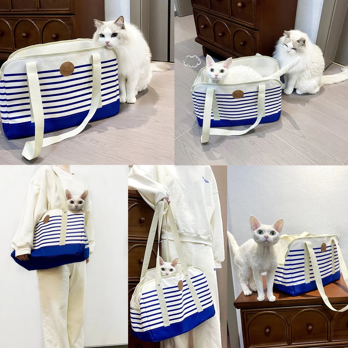 Caisse et sac de transport pour chat