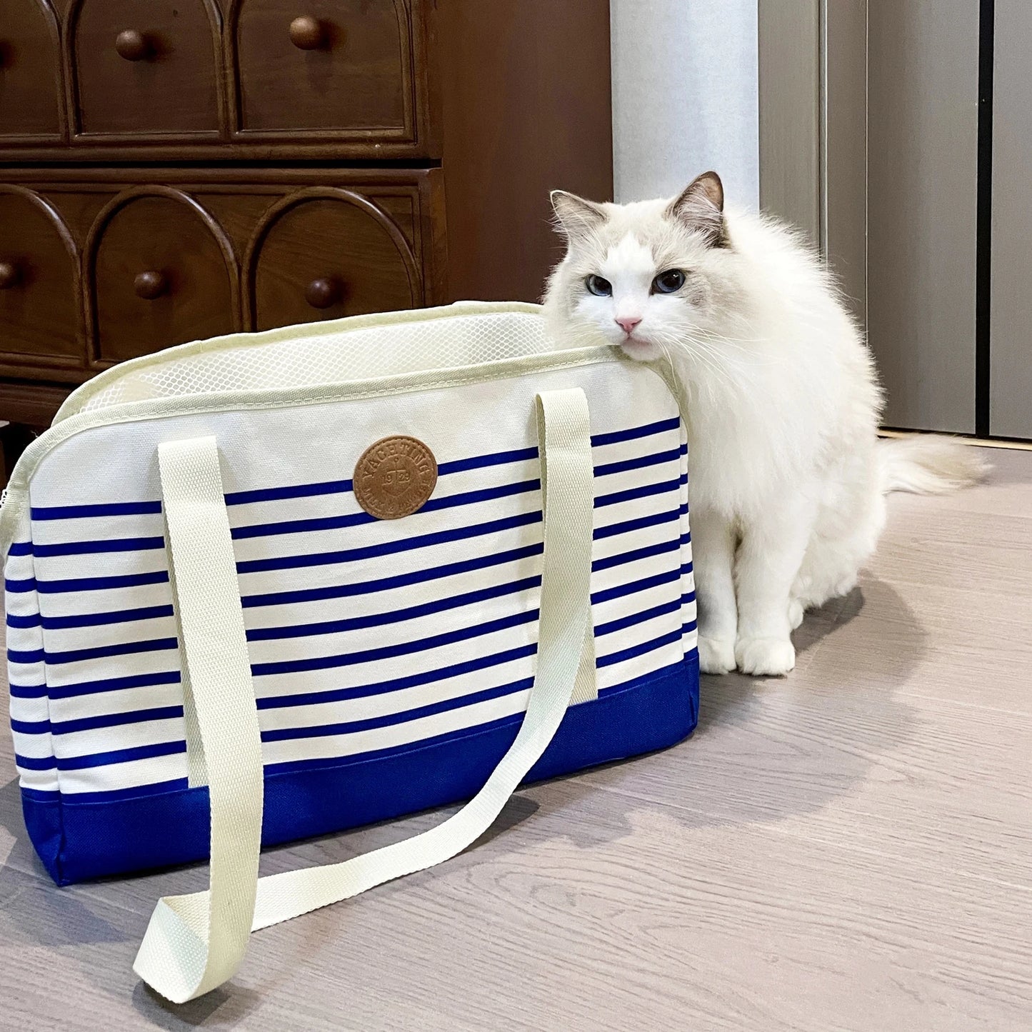 Caisse et sac de transport pour chat