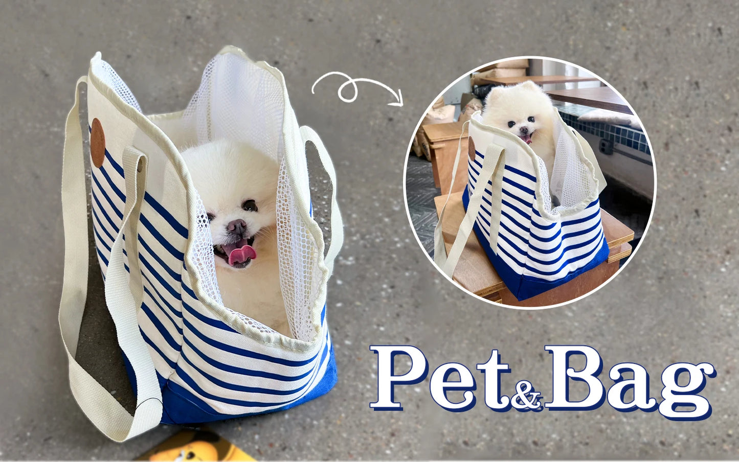 Caisse et sac de transport pour chat