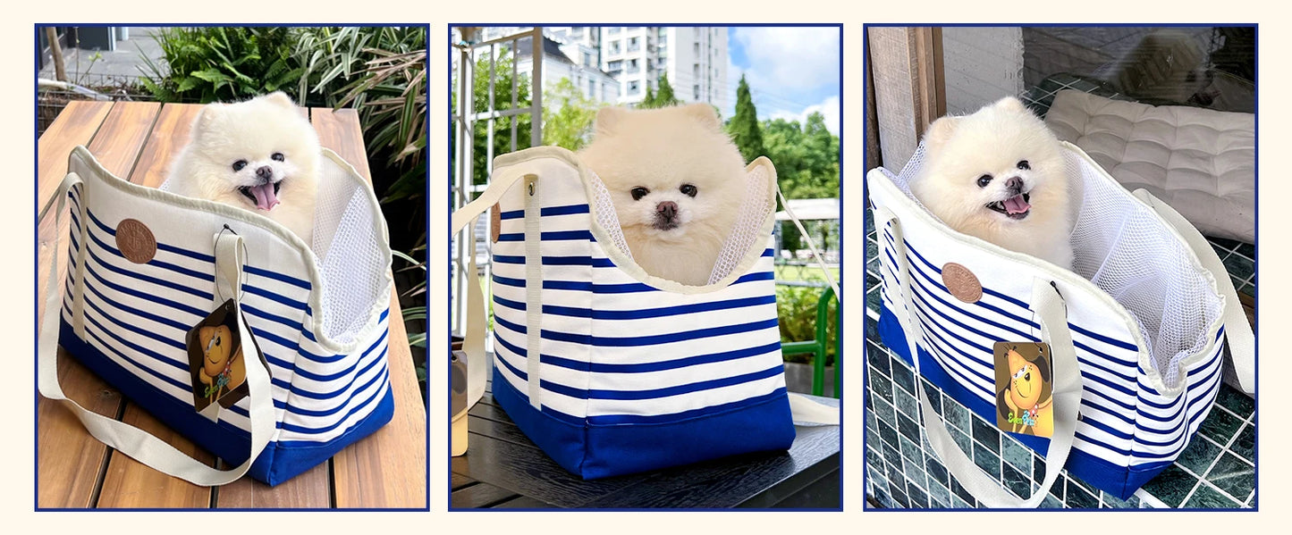Caisse et sac de transport pour chat