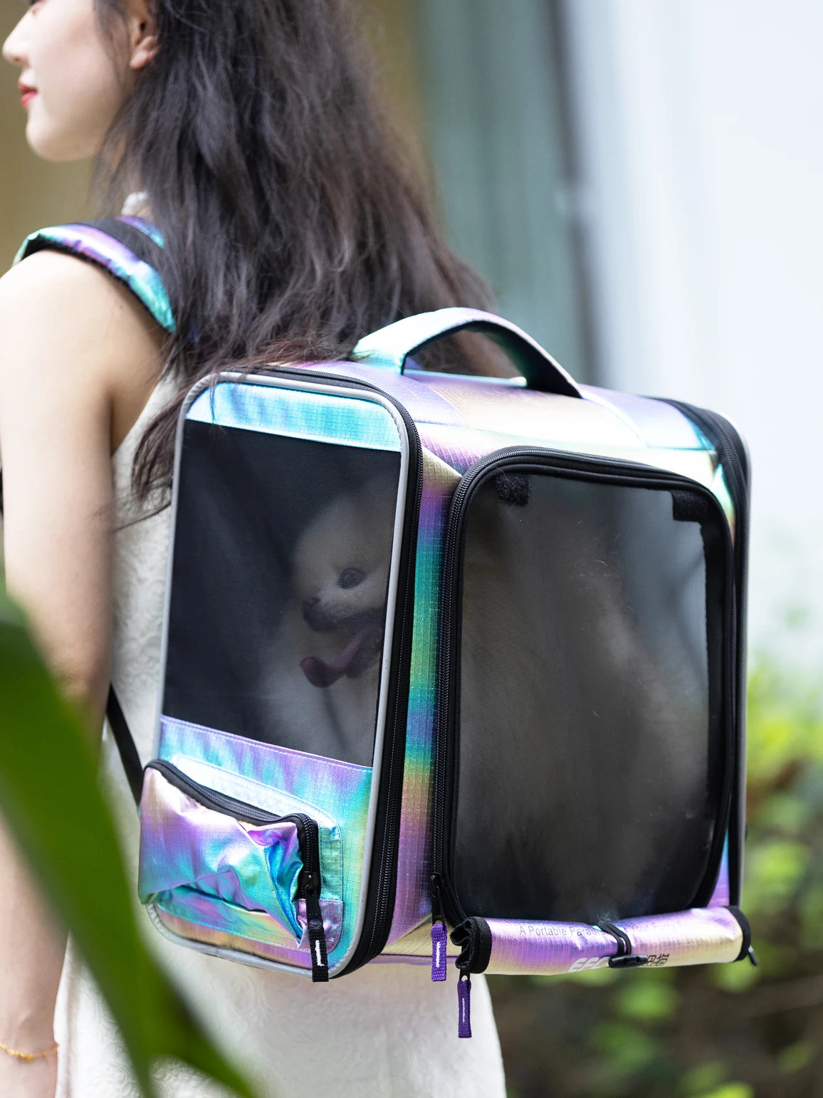 Sacs De Transport Pour Chat Pas Cher