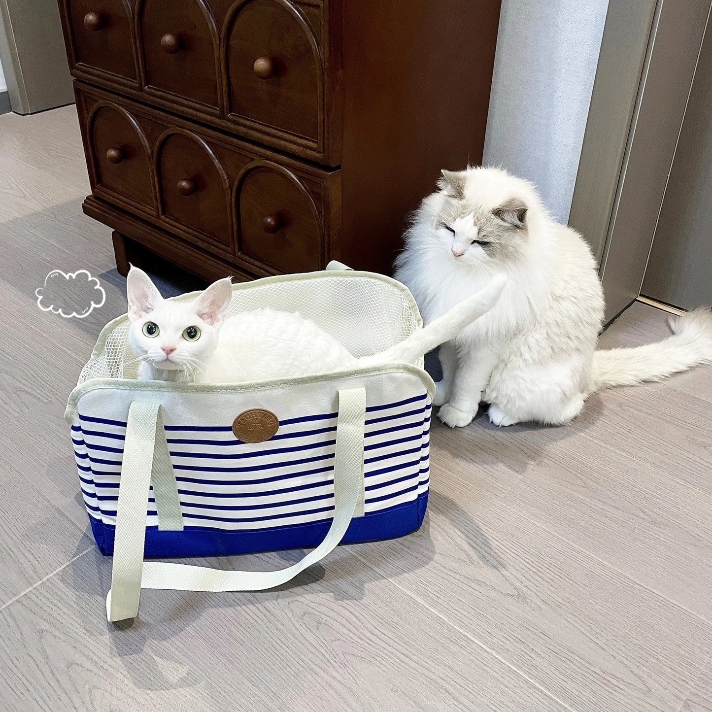 Caisse et sac de transport pour chat