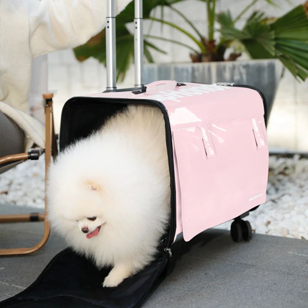 Sac de Transport à Roulettes Pour 2 Chats