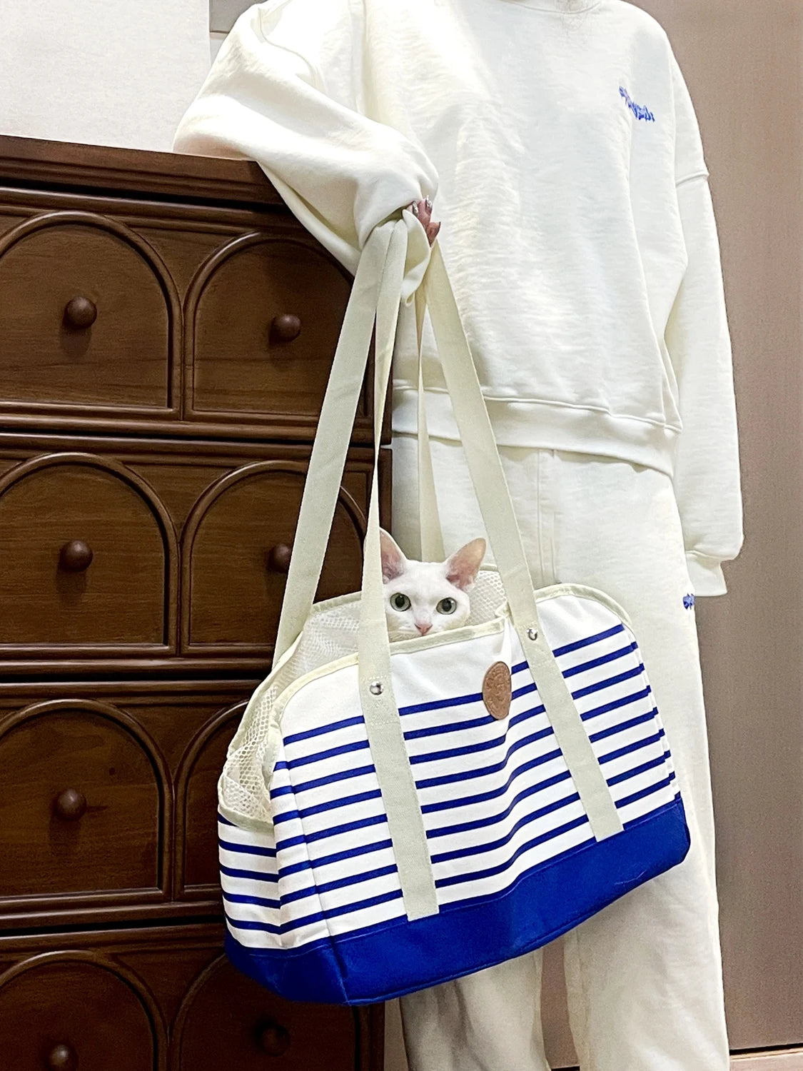 Caisse et sac de transport pour chat