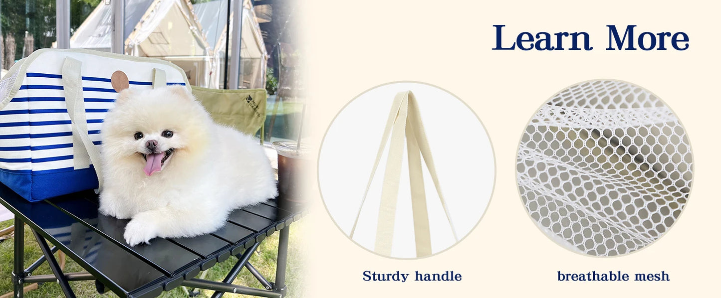 Caisse et sac de transport pour chat